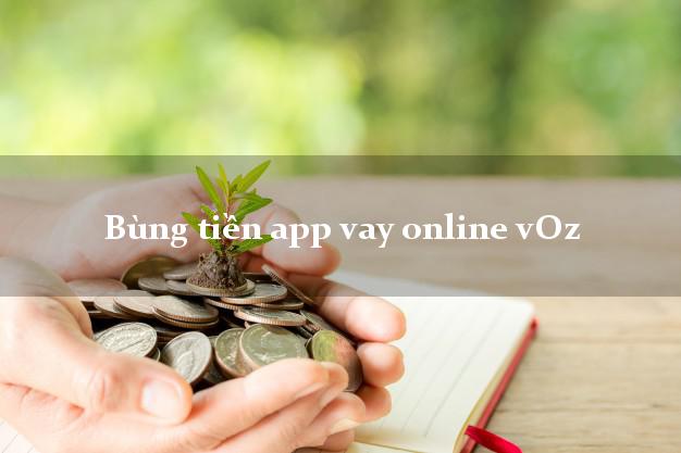 Bùng tiền app vay online vOz