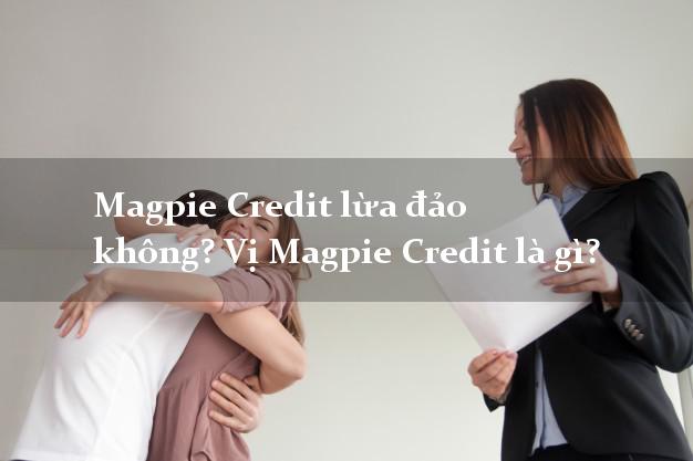 Magpie Credit lừa đảo không? Vị Magpie Credit là gì?